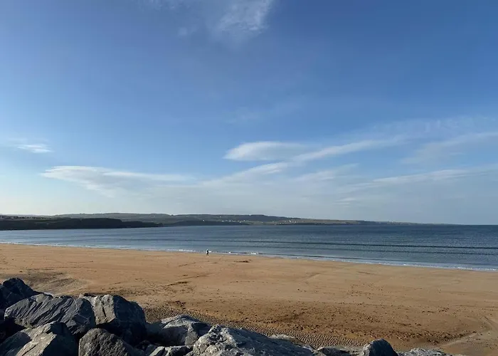 Luxury 1 Min To Apartment